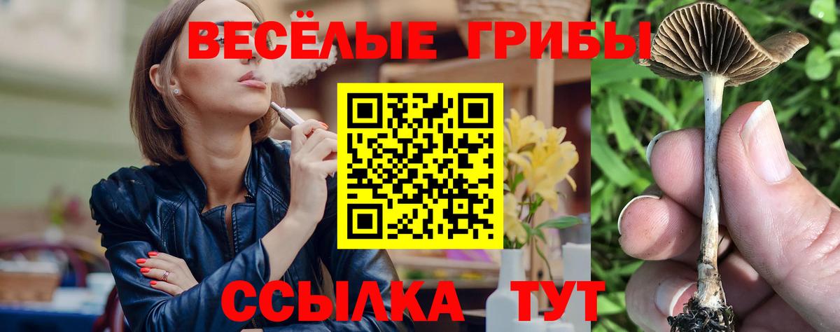 Галлюциногенные грибы Magic Shrooms  Галлюциногенные грибы Magic Shrooms  Вход с VPN  Ярцево 
